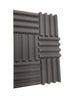 Mini Wave 12" Acoustic Studio Foam Tile Pack - Advanced Acoustics