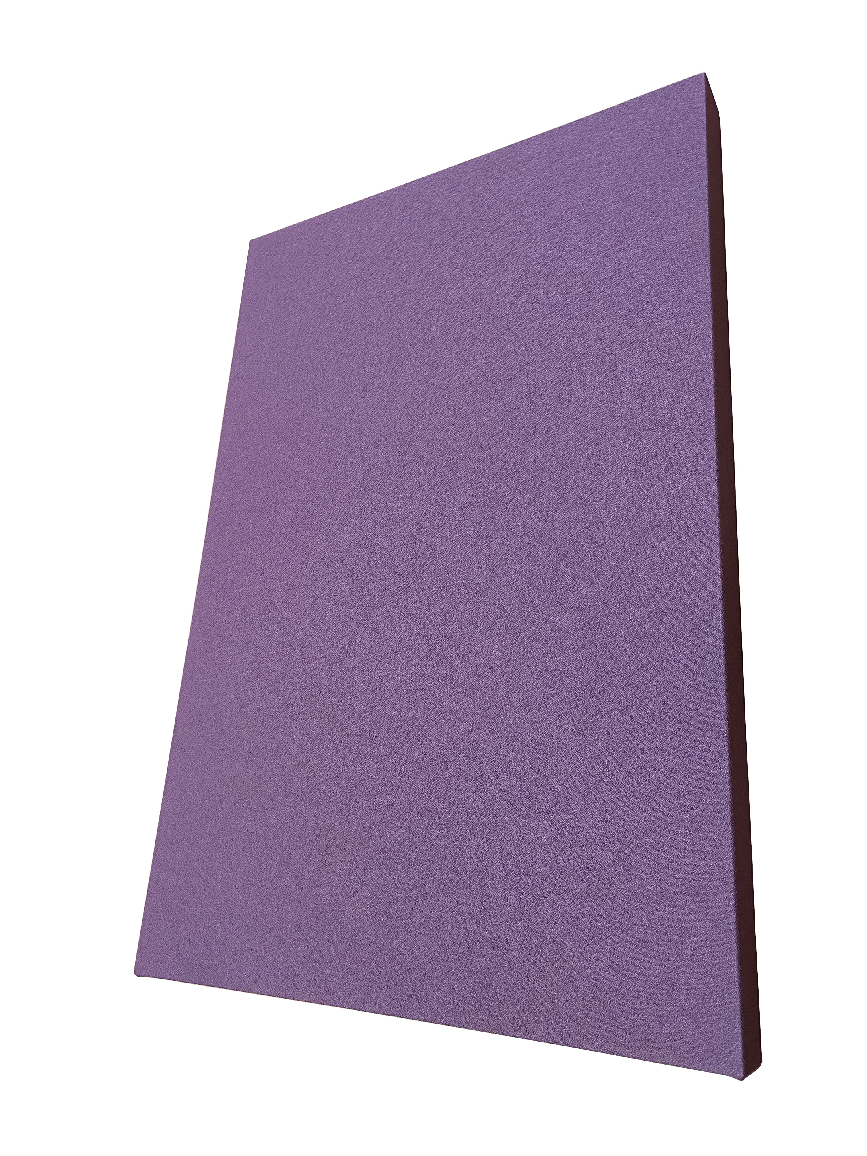 2" SoundControl Ceiling Mounted Acoustic Panel 2ft by 3ft-2